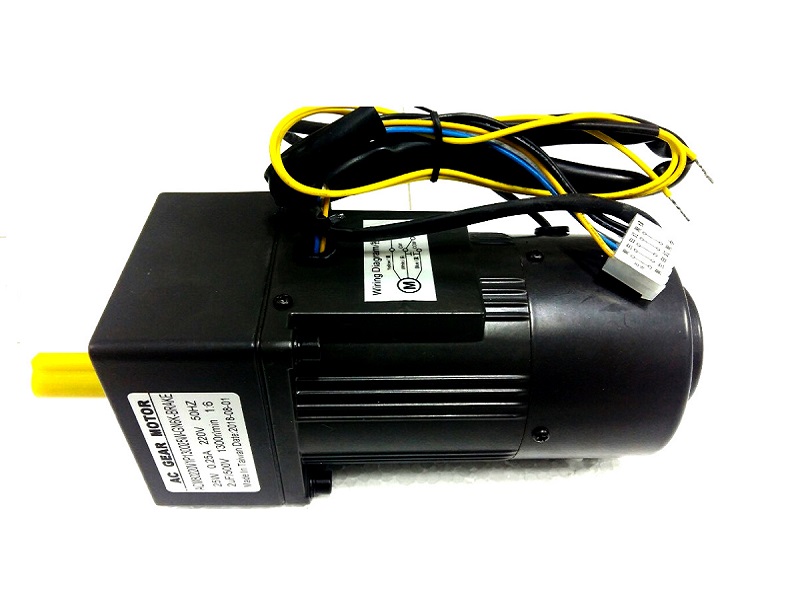 Động cơ AC giảm tốc có thắng từ ACM4GN2201300-6K 215Rpm Brake